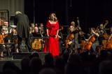 Neujahrskonzert, Philharmonie am Forum